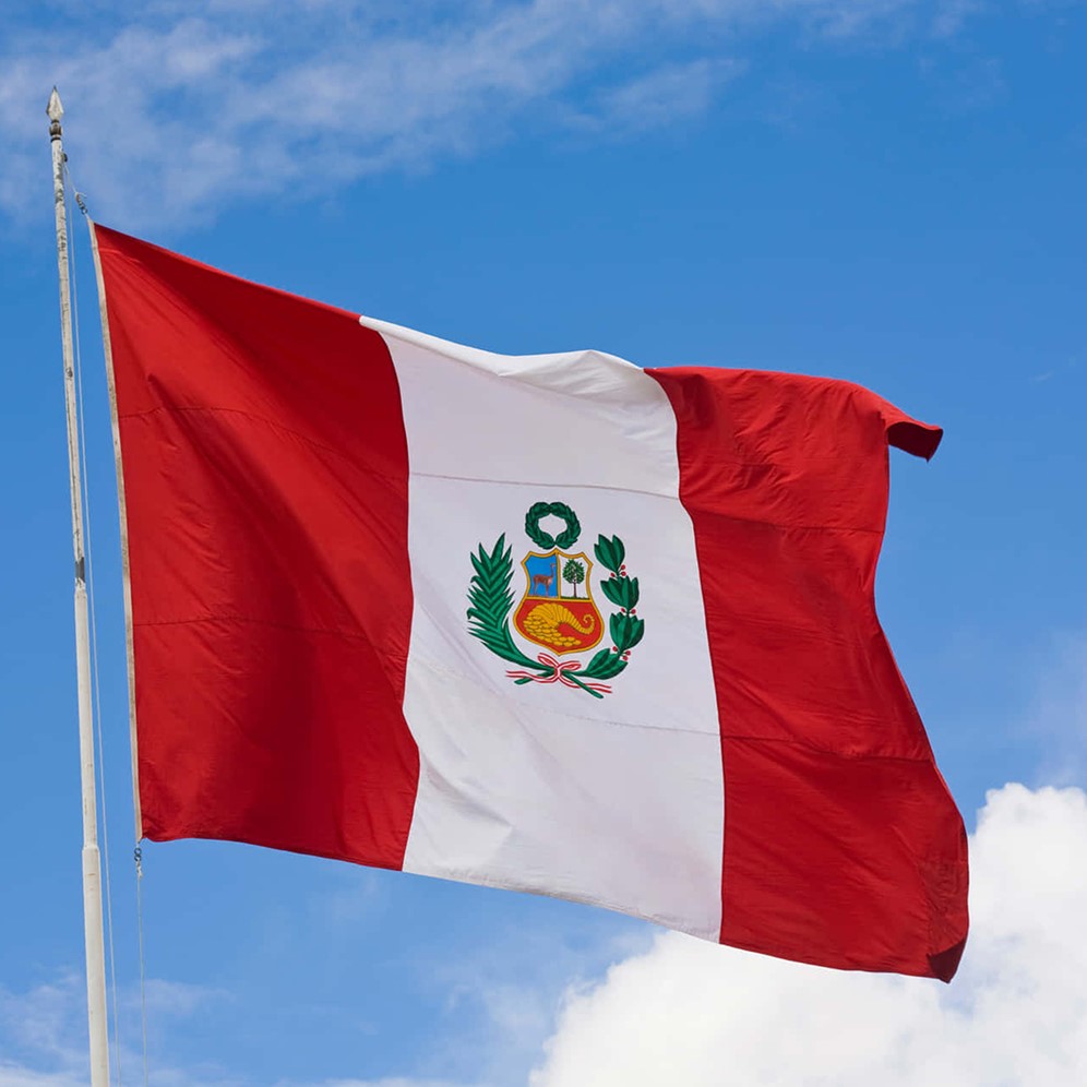 Custom Flag Printing | Durable Fabric Flags with Eyelets or Pole Pockets - Image 4